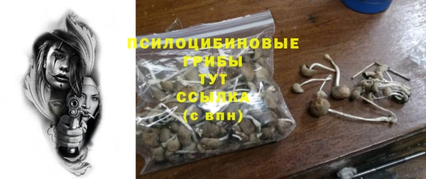 стафф Абаза