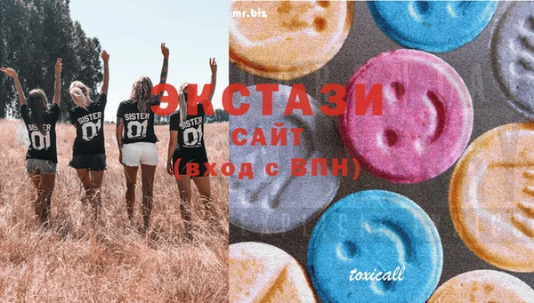 гашик Пересвет